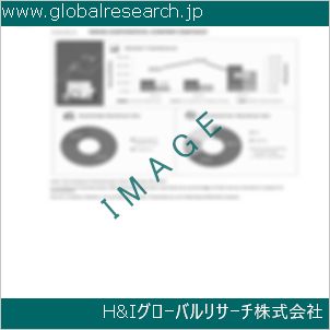 グローバルリサーチ調査資料のイメージ